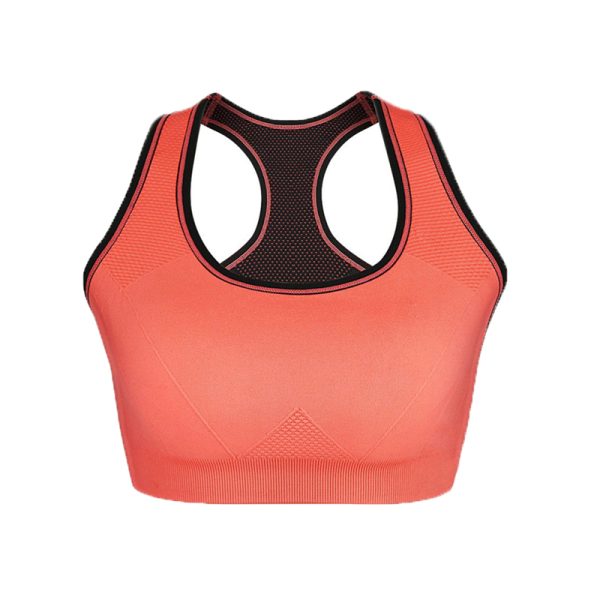 Fitness Bra